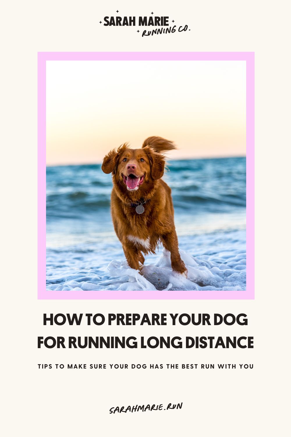 How To Prepare Your Dog For Running Long Distance 